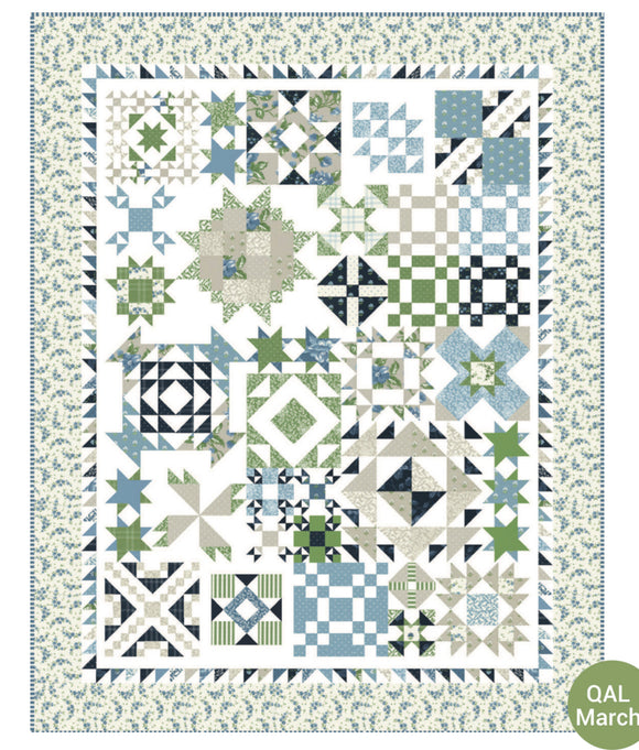 CELEBRATE WITH QUILTS QUILT KIT - BY SUSAN ACHE AND LISSA ALEXANDER - ITS SEW EMMA