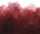Mystic Ombre Burgundy 10876 317 by V and Co- Moda - 1/2 Yard