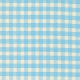 Animal Park Fun Baby Check Sky 20966 13 by Stacy Iest Hsu- Moda- 1/2 Yard