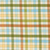 Animal Park Fun Baby Check Iguana 20966 16 by Stacy Iest Hsu- Moda- 1/2 Yard