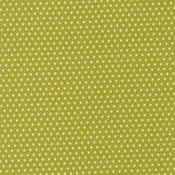 Animal Park Fun Dotty Iguana 20967 16 by Stacy Iest Hsu- Moda- 1/2 Yard