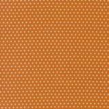 Animal Park Fun Dotty Tiger 20967 17 by Stacy Iest Hsu- Moda- 1/2 Yard