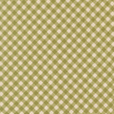 My Secret Garden- Gingham- Grass 20987 18 by Stacy Iest Hsu- Moda- 1/2 Yard