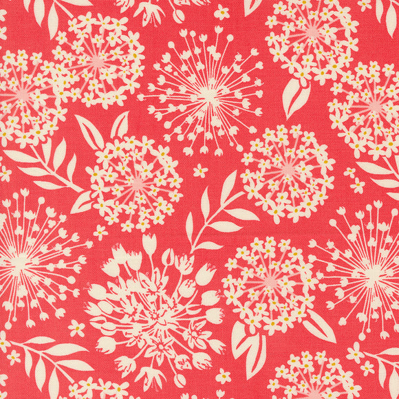 Tango Simpatico Tangerine 27332 12 by Kate Spain-Moda- 1/2 Yard