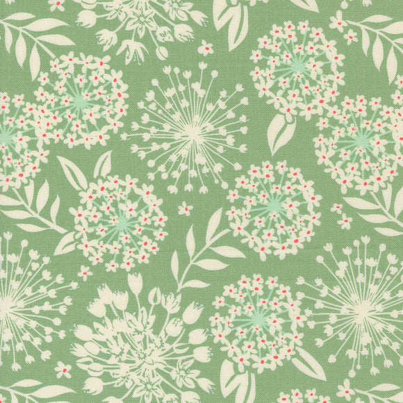 Tango Simpatico Sage 27332 20  by Kate Spain-Moda- 1/2 Yard