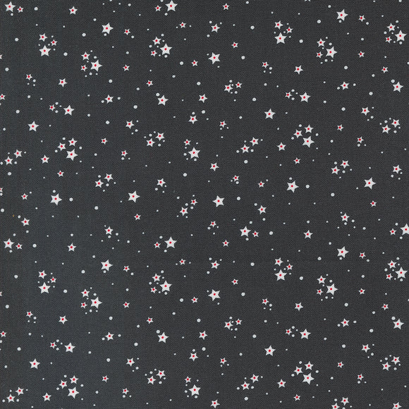 PREORDER Starberry Stardust Charcoal 29187 24 by Corey Yoder- Moda- 1/2 yard