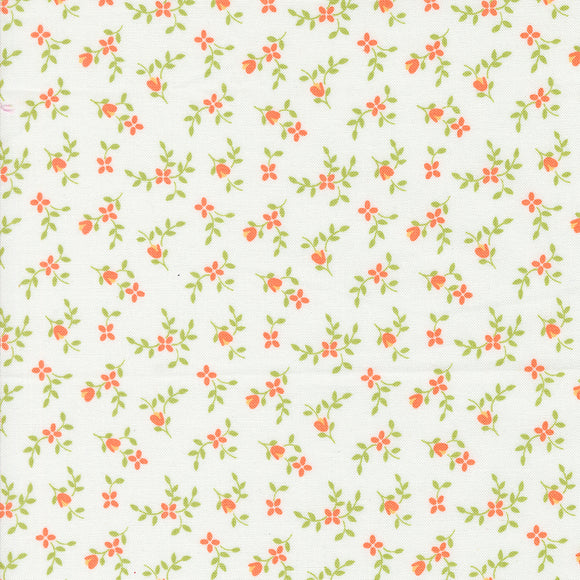 Cali & Co Vine and Bud Cloud Melon 29192 14 by Corey Yoder- Moda- 1/2 Yard