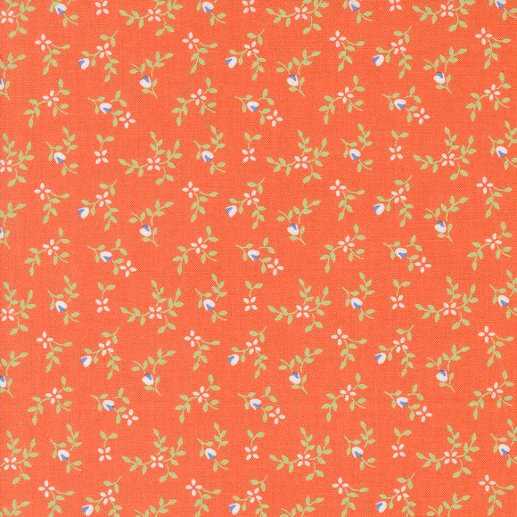 Cali & Co Vine and Bud Melon 29192 34 by Corey Yoder- Moda- 1/2 Yard