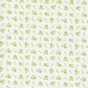 Cali & Co Cameo Cloud Pistachio 29195 17 by Corey Yoder- Moda- 1/2 Yard