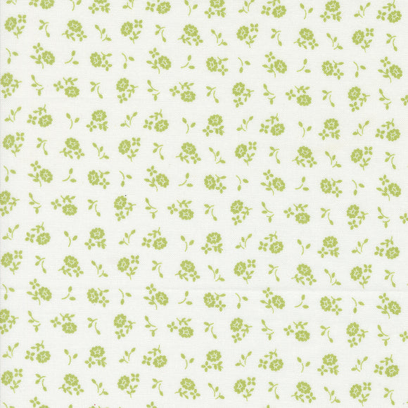 Cali & Co Cameo Cloud Pistachio 29195 17 by Corey Yoder- Moda- 1/2 Yard