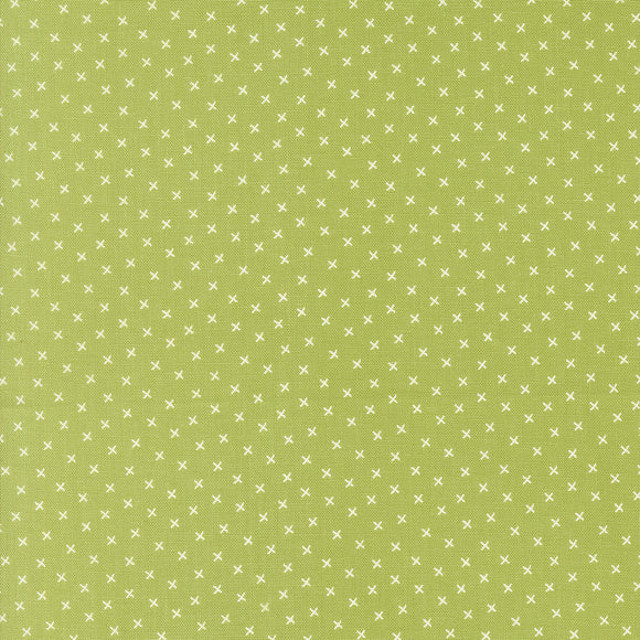 Coriander Colors X's Green 29202 26  by Corey Yoder- Moda- 1/2 yard