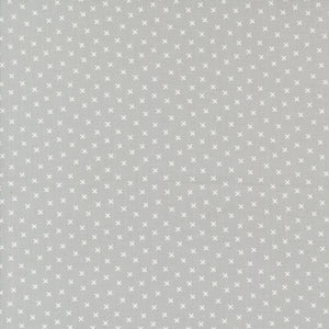 Coriander Colors X's Grey 29202 30 by Corey Yoder- Moda- 1/2 yard