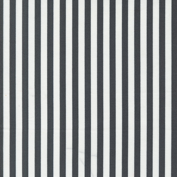 Coriander Colors Stripe Black 29203 31 by Corey Yoder- Moda- 1/2 yard