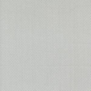 Coriander Colors Tiny Dots Grey 29205 30 by Corey Yoder- Moda- 1/2 yard