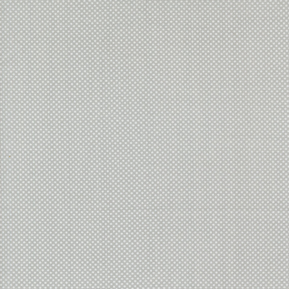 Coriander Colors Tiny Dots Grey 29205 30 by Corey Yoder- Moda- 1/2 yard