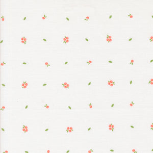 Abloom Little Sprout Cloud 29216 11 by Corey Yoder- Moda- 1/2 yard