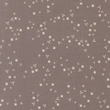 In The Garden Flutter Slate 29236 23 by Corey Yoder- Moda- 1/2 Yard