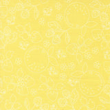 Fruit Salad- Fruit Sketch- Sunshine 29241 17 by Corey Yoder- Moda- 1/2 Yard