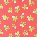 Fruit Salad- Strawberries-  Flamingo 29243 12 by Corey Yoder- Moda- 1/2 Yard
