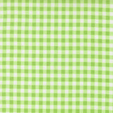 Fruit Salad- Gingham- Lime 29245 19 by Corey Yoder- Moda- 1/2 Yard