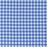 Fruit Salad- Gingham- Cobalt 29245 24 by Corey Yoder- Moda- 1/2 Yard