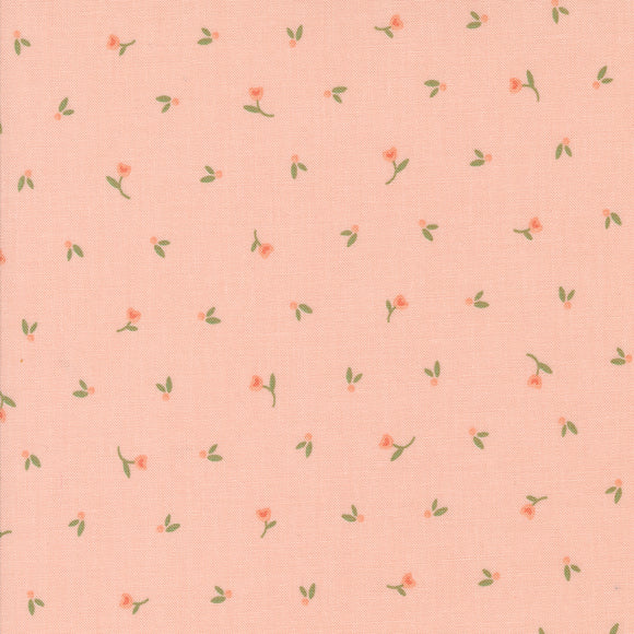 Flower Girl Picked Blush 31732 16 by Heather Briggs- Moda- 1/2 Yard