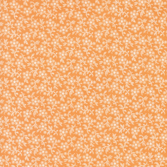 PREORDER Denim and Daisies Daisy Fields Butterscotch 35386 14 by Fig Tree and Co- Moda- 1/2 Yard