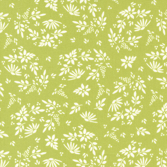 Favorite Things Amaryllis Chartreuse 37650 25 by Sherri and Chelsi- Moda