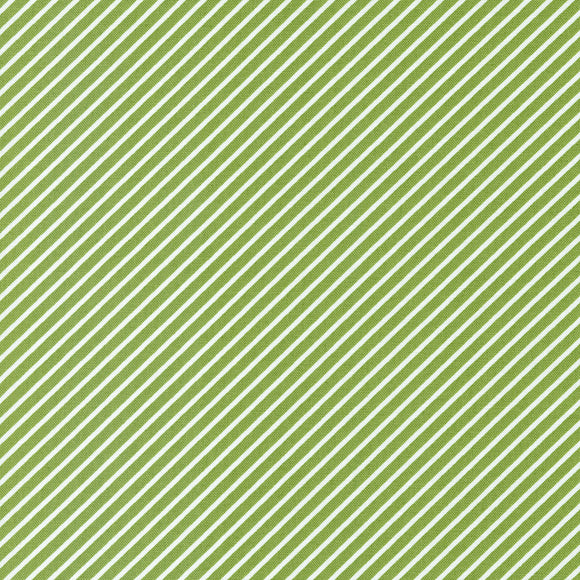 Favorite Things Stripe Evergreen 37656 26 by Sherri and Chelsi- Moda