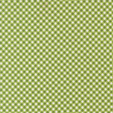 PREORDER Poinsettia and Pear- Gingham Fresh Grass 37717 13 by Sherri and Chelsi- Moda-1/2 Yard