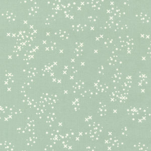 Dawn on the Prairie -Confetti Dots Dusty Mint 45577 18 by Fancy That Design House- Moda-