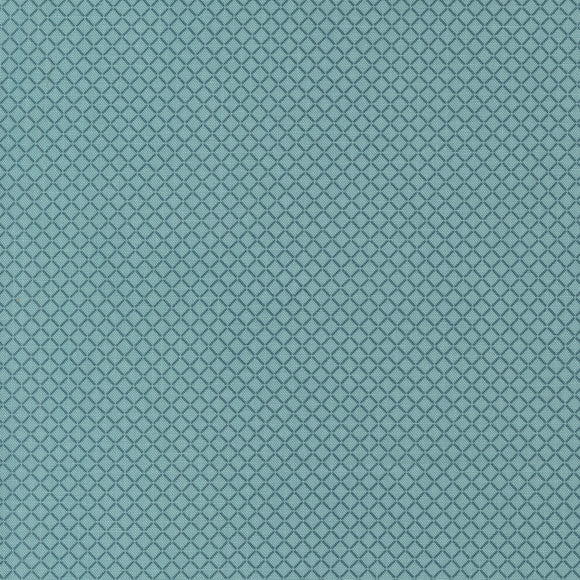 PREORDER  Rosemary Cottage Little Snail Sky 55317 16 by Camille Roskelley - Moda - 1/2 yard