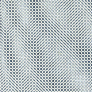 PREORDER  Rosemary Cottage Little Snail Cream Navy 55317 24 by Camille Roskelley - Moda - 1/2 yard