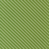 PREORDER Bloomsberry Stripe Green 55355 15 by Camille Roskelley- Moda 1/2 Yard