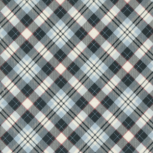 On Dasher Plaid Frost 55664 24 by Sweetwater - Moda- 1/2 Yard