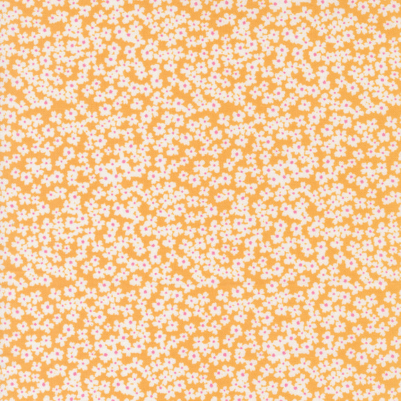 Shine Bloom Orangesicle 55672 15 by Sweetwater - Moda- 1/2 Yard