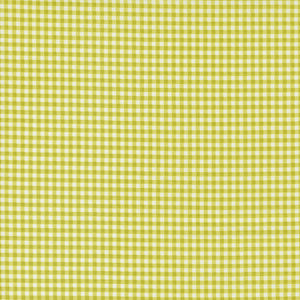 Shine Gingham Grass 55676 16 by Sweetwater - Moda- 1/2 Yard