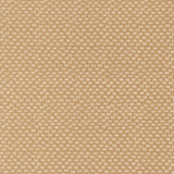 Lucky In The Grass Sand 55704 17 by Sweetwater - Moda- 1/2 Yard