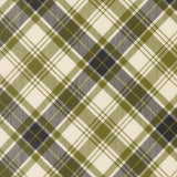 Chilly Christmas Plaid Pine 55715 13 by Sweetwater- Moda- 1/2 Yard