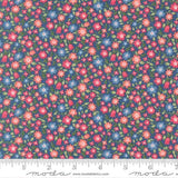A Cat Named Stitch- Lucky Sea 55342 14 by Camille Roskelley - Moda- 1/2 Yard