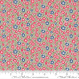 A Cat Named Stitch- Lucky Grey 55342 15 by Camille Roskelley - Moda- 1/2 Yard