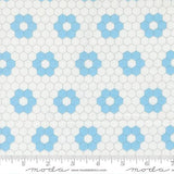 A Cat Named Stitch- Quilted Hexagons Cream Sky 55343 22 by Camille Roskelley - Moda- 1/2 Yard