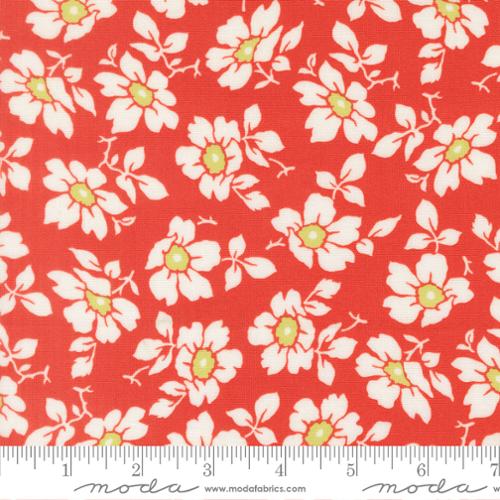 PREORDER Summers End Cosmos Persimmon 35431 16 by Fig Tree- Moda -1/2 Yard