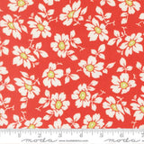 PREORDER Summers End Cosmos Persimmon 35431 16 by Fig Tree- Moda -1/2 Yard