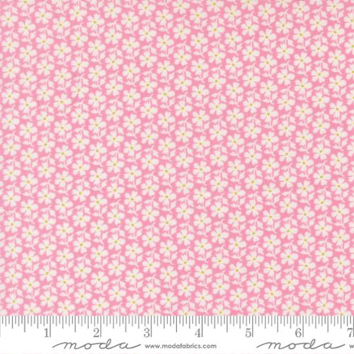 PREORDER Summers End Daisies Lilac 35434 12 by Fig Tree- Moda -1/2 Yard