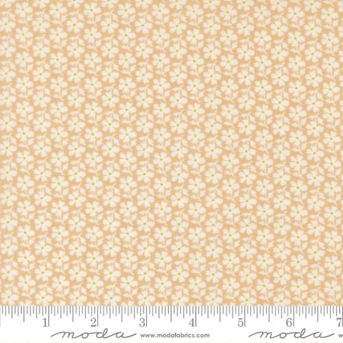 PREORDER Summers End Daisies Almond Pie 35434 15 by Fig Tree- Moda -1/2 Yard