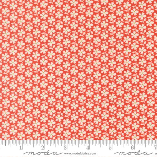 PREORDER Summers End Daisies Persimmon 35434 16 by Fig Tree- Moda -1/2 Yard