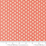PREORDER Summers End Daisies Persimmon 35434 16 by Fig Tree- Moda -1/2 Yard