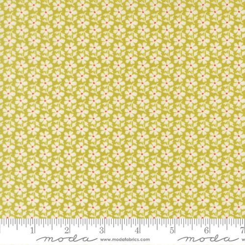 PREORDER Summers End Daisies Grass 35434 18 by Fig Tree- Moda -1/2 Yard