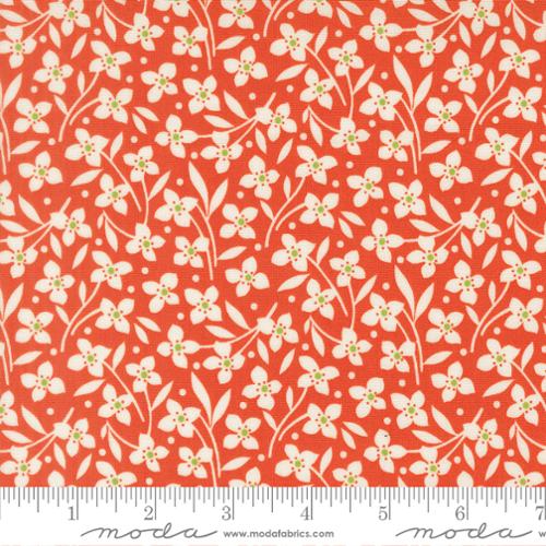 PREORDER Summers End Forget Me Not Persimmon 35435 16 by Fig Tree- Moda -1/2 Yard